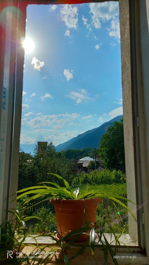 Shaulini Hotel Kashveti Екстериор снимка