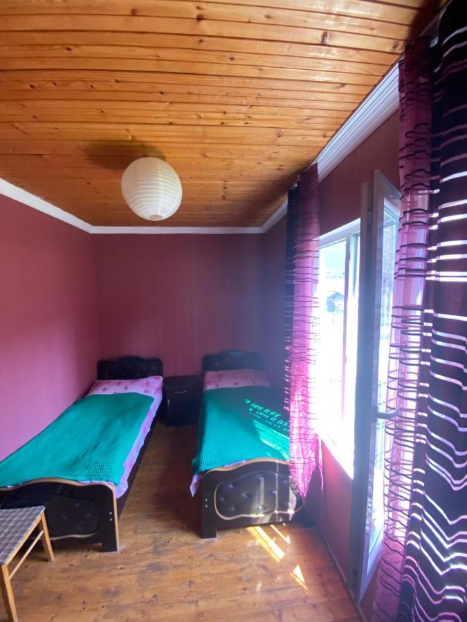 Shaulini Hotel Kashveti Екстериор снимка