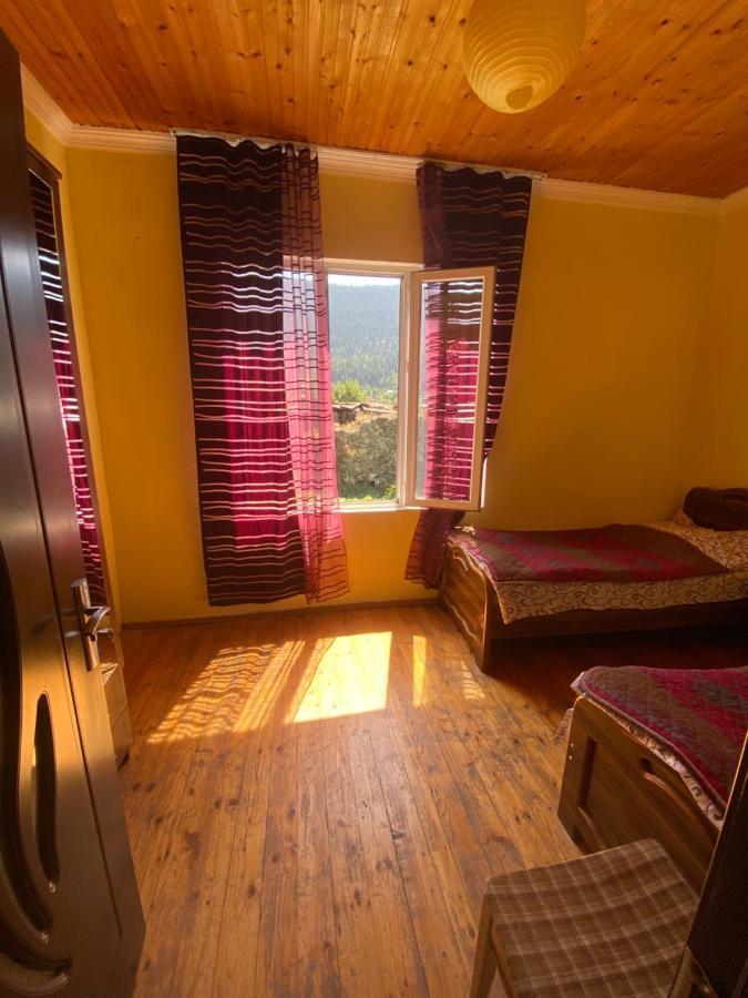 Shaulini Hotel Kashveti Екстериор снимка